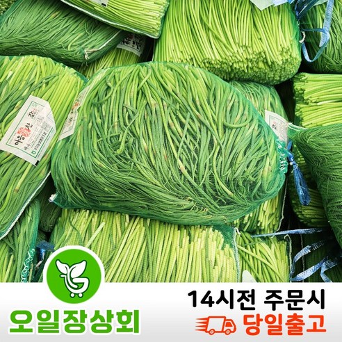 국내산 햇 마늘쫑 500G 1KG 2KG 3KG 5KG, 1개 Best Top5