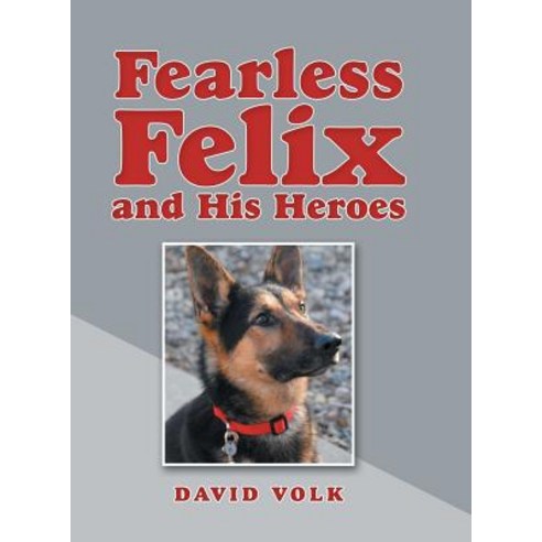 (영문도서) Fearless Felix and His Heroes Hardcover, Archway Publishing, English, 9781480870970
