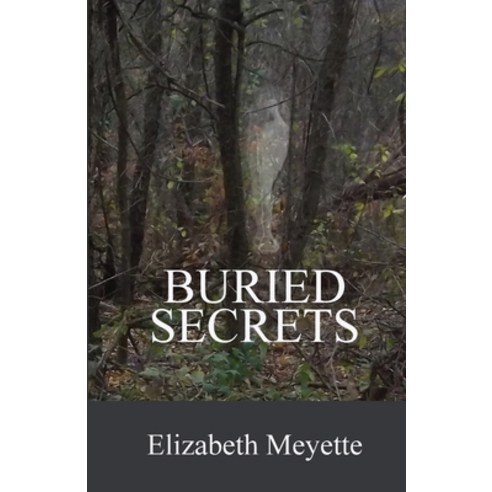 (영문도서) Buried Secrets: Sequel to the The Cavanaugh House Paperback, Boris Publishing, English, 9780996096560