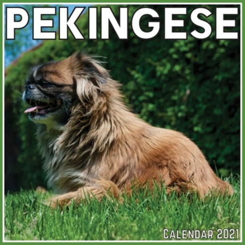 Pekingese Calendar 2021: Official Pekingese Calendar 2021 12 Months Paperback, Independently Published, English, 9798714859786