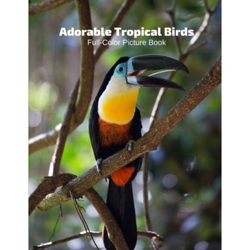 Adorable Tropical Birds Full-Color Picture Book: Animals Photography Book Paperback, Independently Published