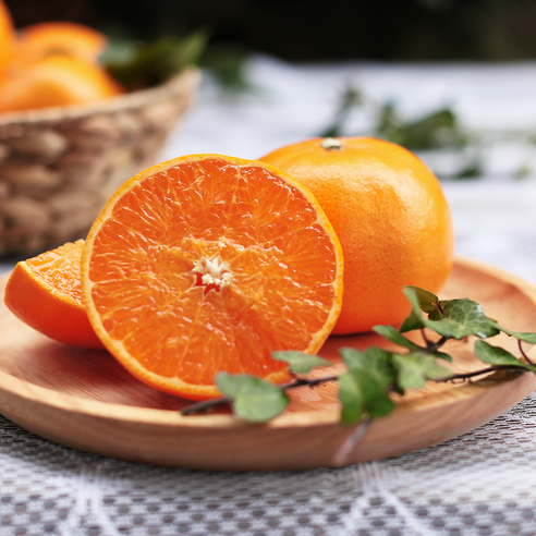 제주의 햇살을 담은 달콤한 행복, 천혜향