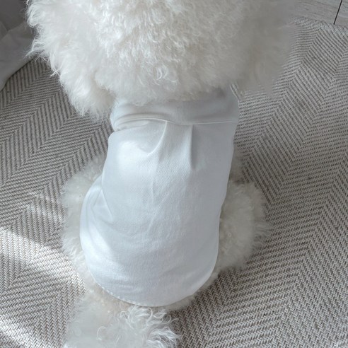 伴侶  寵物產品  小狗  貓  組合使用  服裝  T卹  狗  狗  狗