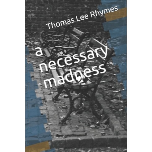 (영문도서) A necessary madness Paperback, Independently Published, English, 9798512546130