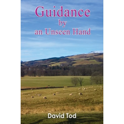 (영문도서) Guidance by an Unseen Hand Paperback, Maple Publishers, English, 9781915492326