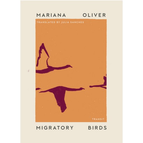 Migratory Birds Paperback, Transit Books, English, 9781945492525