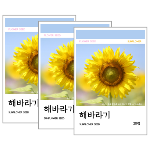 해바라기 씨앗 20립, 3개