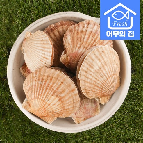 신선하고 맛있으며 영양가 풍부한 어부의집 제철 대왕 가리비