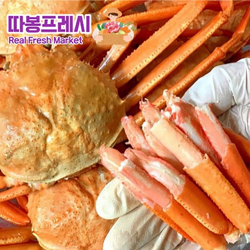 따봉프레시 수율보장 황제 대게 홍게 포항 찜발송, 1개, 3kg(프리미엄)