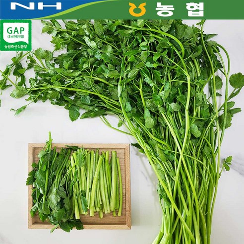 [농협] GAP 세척 논미나리 1kg 2kg (200g씩 소분포장) 숨쉬는 비닐포장으로 신선!, 1박스