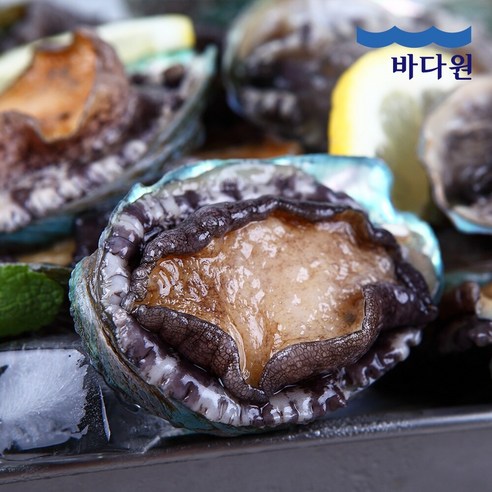 바다원 산지직송 완도 활전복 1kg (50-60미 내외) 싱싱한 전복, 1개