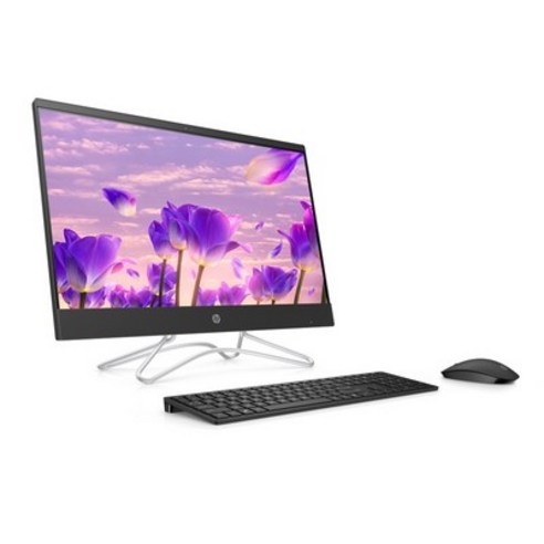 hp올인원pc HP 일체형PC 24-f0156kr (i5-8400T DDR4 4G 60.45cm WIN10 SSD 256GB) + 키보드 + 마우스, UHD Graphics 630