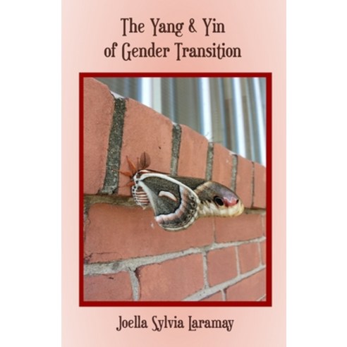 The Yang & Yin of Gender Transition Paperback, Nfb Publishing, English, 9781953610089