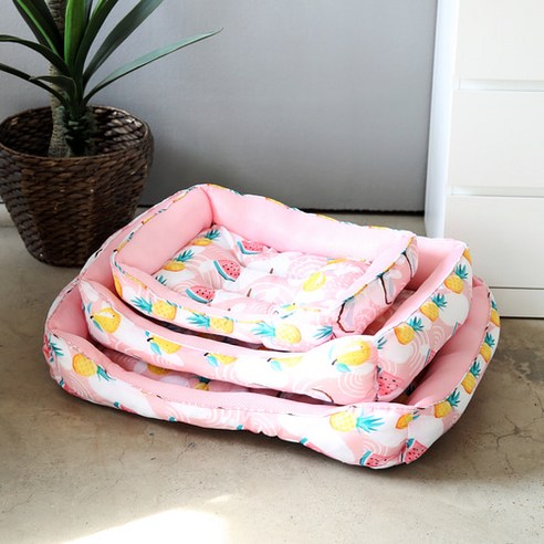 댕댕이에게 여름날의 오아시스를 선물하세요!