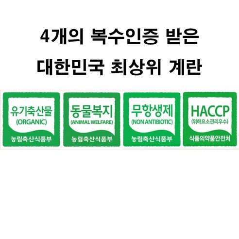 산림방사의 그 이상, 최고의 유기농 계란