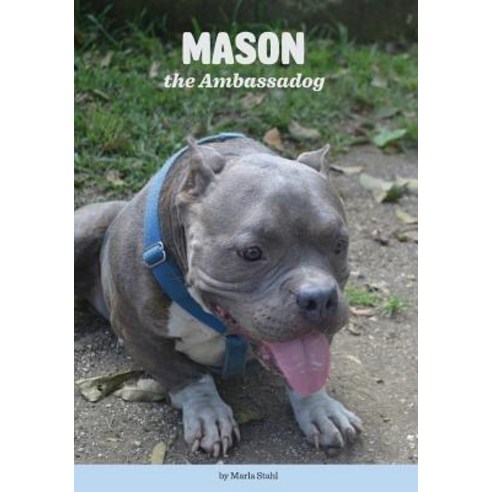 (영문도서) Mason the Ambassadog Paperback, Createspace Independent Pub..., English, 9781546686774
