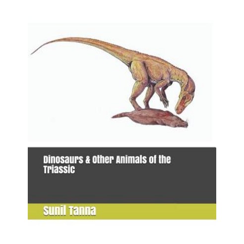 (영문도서) Dinosaurs & Other Animals of the Triassic Paperback, Independently Published, English, 9781098529178