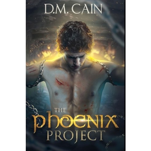 The Phoenix Project: Premium Hardcover Edition Hardcover, Blurb, English, 9781034189183