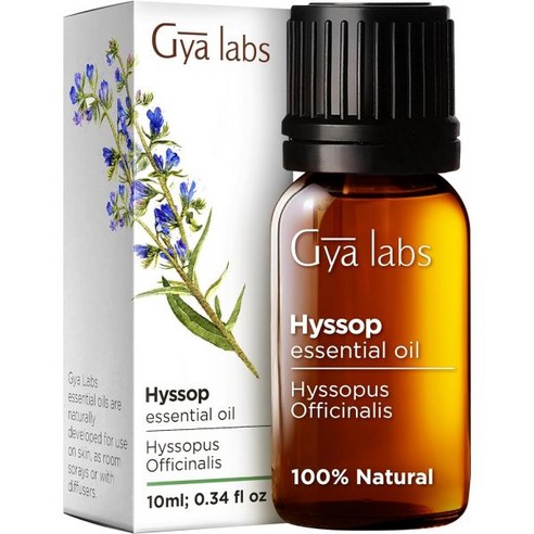 Gya Labs 피부 모발 얼굴 발톱용 호주 티트리 오일 100% 천연 멜라루카 피어싱 두피 헤어 에센셜 퓨어 0.34oz, 1개