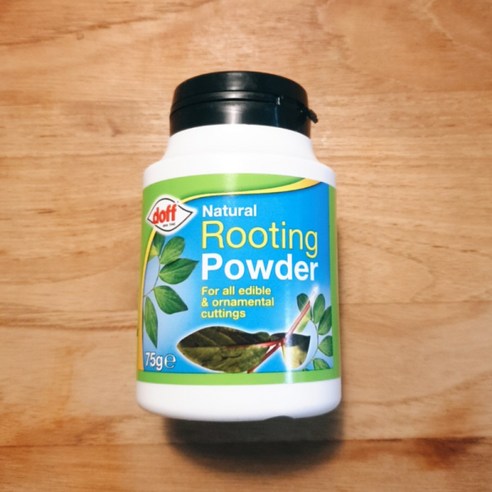 생명의 기적을 돕는 마법의 가루, 도프 내추럴 루팅파우더 뿌리발근제 발근제