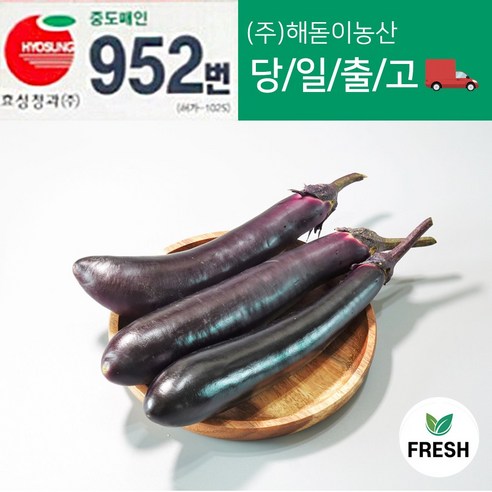 해돋이농산 국내산 햇 가지 못난이가지 2kg 5kg, (10개~15개)2kg, 1개