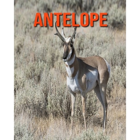 Antelope: Super Fun Facts And Amazing Pictures Paperback, Independently Published, English, 9798693400023