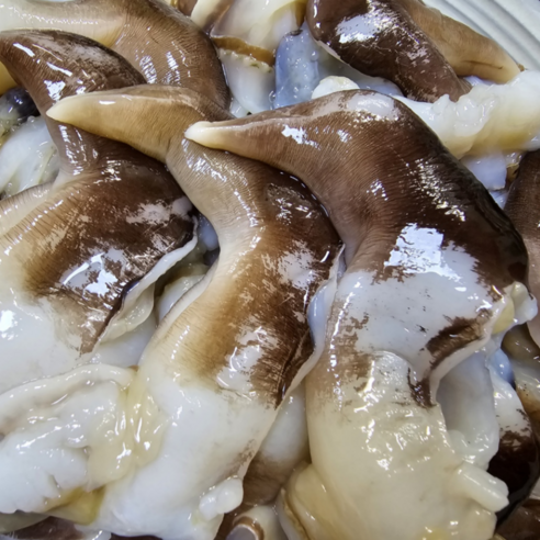 겨울 바다의 진미, 여수 노랑새조개로 풍성한 미식 경험을 즐기세요.