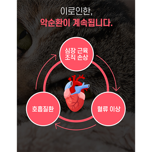 한국바이오펫 하트케어 강아지 고양이 심장 영양제 헥헥거림 면역력 영양제, 1통, 면역력 강화