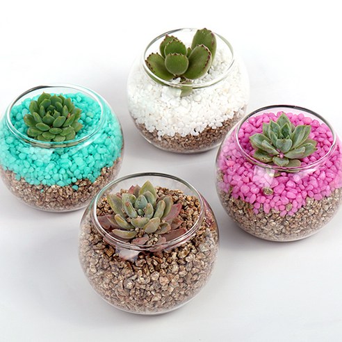 그린팜네이처 식물가습기 다육이 만들기 KIT, 색돌(핑크) 한 개