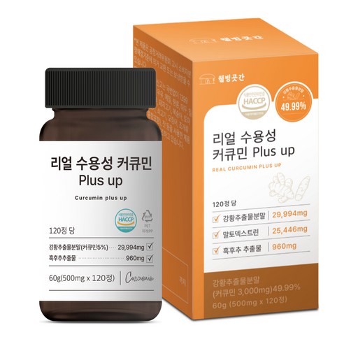 웰빙곳간 리얼 수용성 커큐민 PLUS UP HACCP 식약처 인증, 1개, 120정