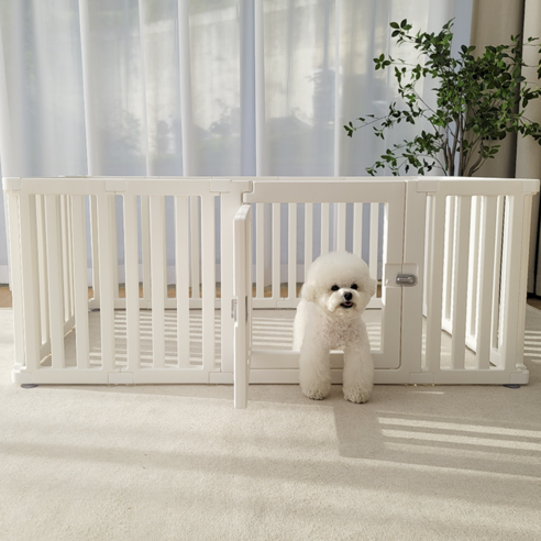 반려견을 위한 안전하고 쾌적한 공간