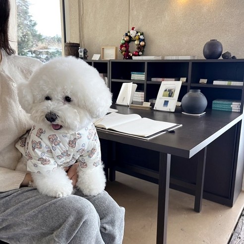 따뜻함과 스타일을 한 번에, Sgirl 강아지 패딩으로 겨울 산책을 즐기세요!