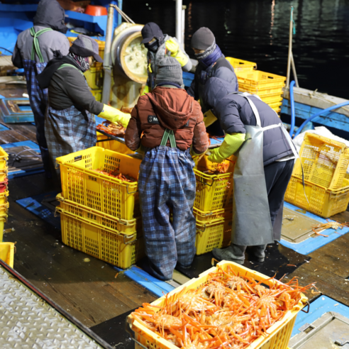 신나푸드 선주직송 박달홍게 당일조업 무료자숙 실속형 고급형 정품 홍게 3kg 할인가격