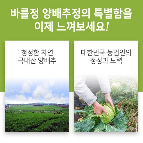 바를정 양배추정: 건강을 위한 선물