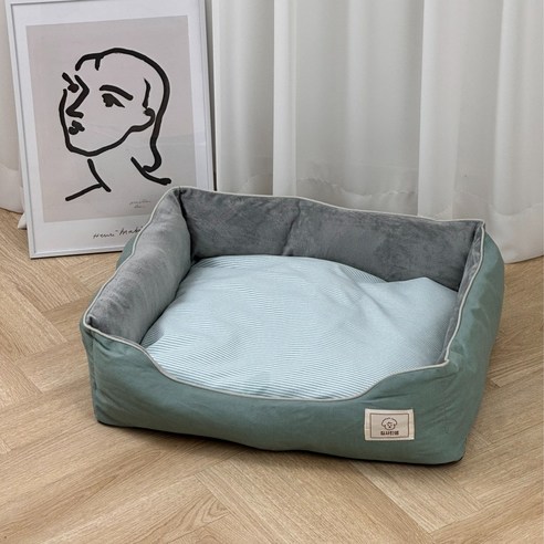 우리 반려견을 위한 최고의 선택