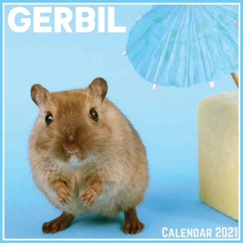 Gerbil Calendar 2021: Official Gerbil Calendar 2021 12 Months Paperback, Independently Published, English, 9798717811453