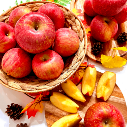 최저 경북영천 꿀당도 맛있는 사과 3kg
