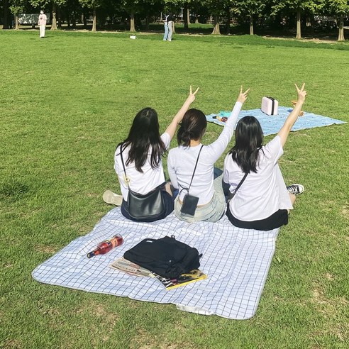 카터룸스 방수 피크닉 돗자리 아웃도어 매트, 화이트그리드