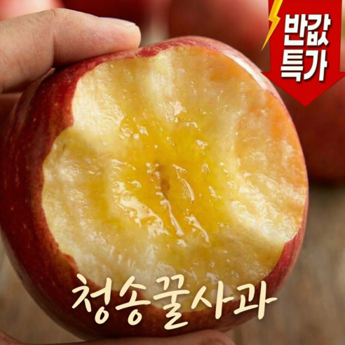 [한정반값특가]딱100박스만 초고당도 못난이가정용 부사사과, 1박스, 5kg