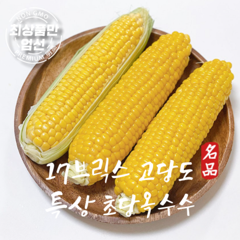 [17브릭스] 농가직송 국내산 초당옥수수 15cm이상 특품, 1박스, 특상품 초당옥수수 10개(15cm이상)