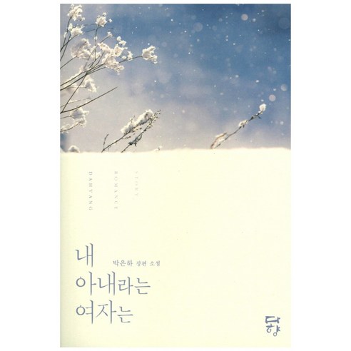내 아내라는 여자는:박은하 장편 소설, 다향