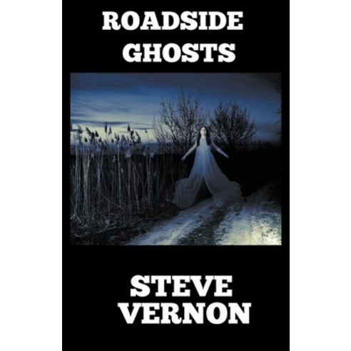 (영문도서) Roadside Ghosts: A Collection of Horror and Dark Fantasy Paperback, Steve Vernon, English, 9781393421511
