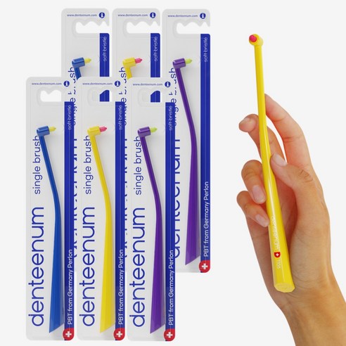 구강 건강의 새로운 동반자