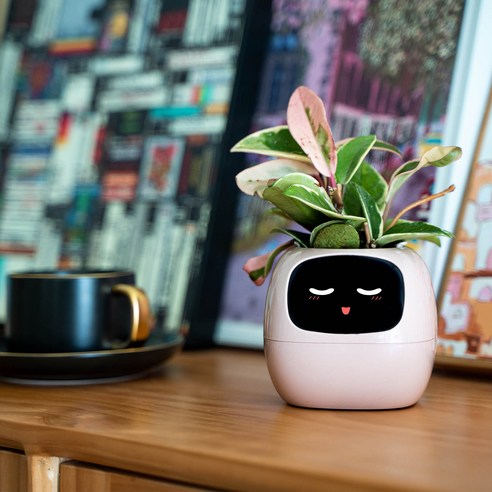 스마트한 식물 관리의 새로운 시대