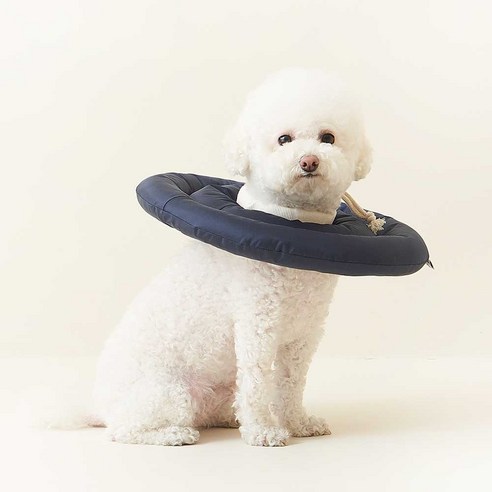 반려동물의 안전과 건강을 위한 두유레디 넥카라