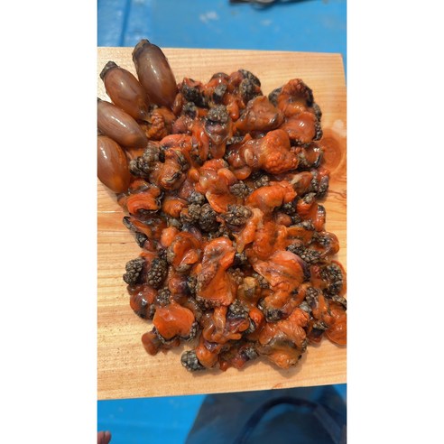 봄 바다의 향긋한 선물, 창원 진동 미더덕의 특별한 맛 미더덕회