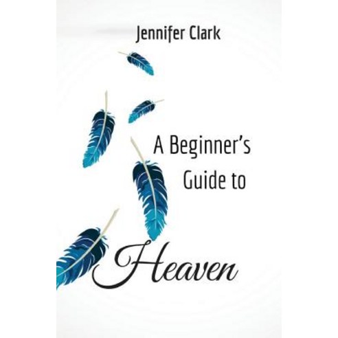A Beginner''s Guide to Heaven Paperback, Unsolicited Press