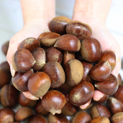 2024년 공주 왕특 햇밤: 임금님 수라상에 오르던 그 맛!