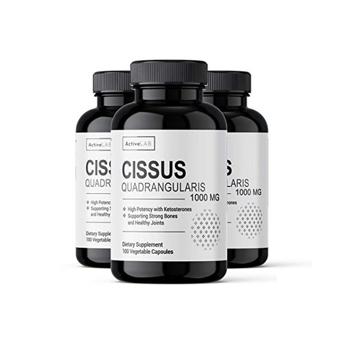 액티브랩 시서스 1000mg 100캡슐 씨서스 시저스 씨저스