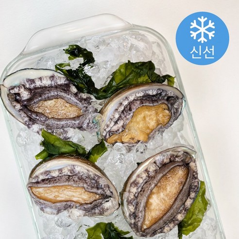 [전사이즈] 완도 활 전복 자연산 완도산 생물 전복세트 직거래 꼬마 미니 특대 1kg 8-9미